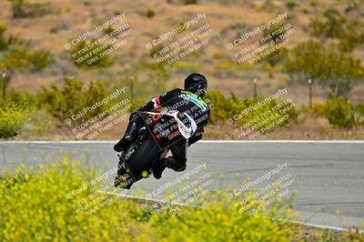 media/May-10-2024-2WTD (Fri) [[c88d7990af]]/Group C/Session 2-The Bowl/